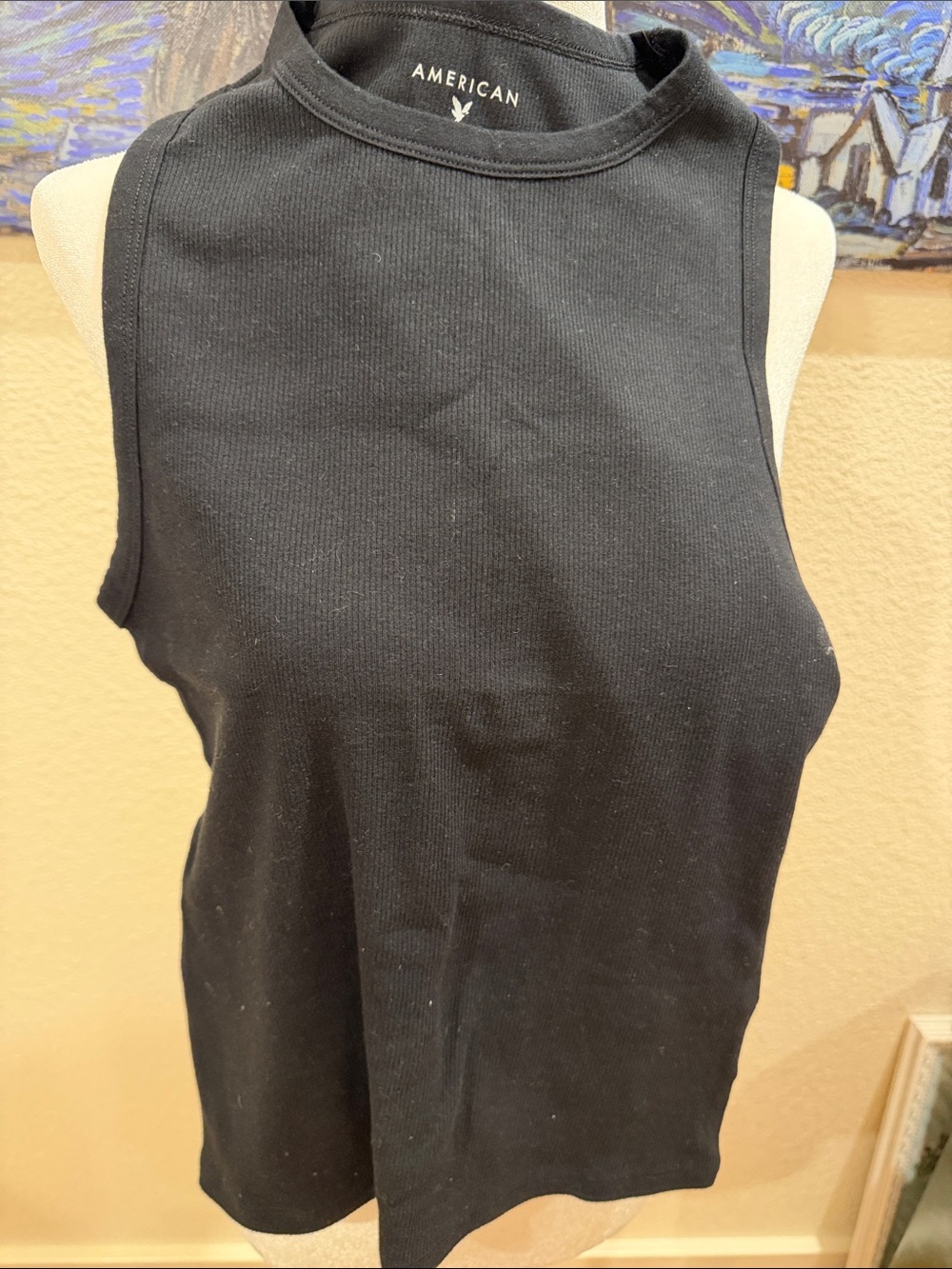 American Eagle Outfitters Black Ribbed Mock Neck Tank